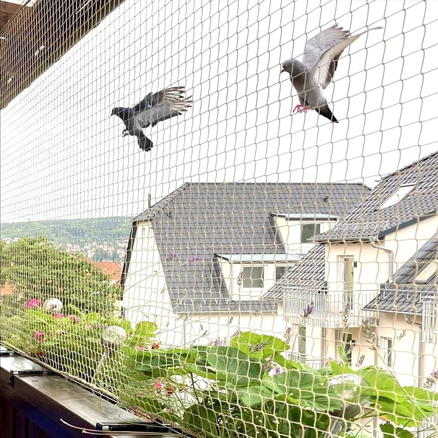 birdnetting